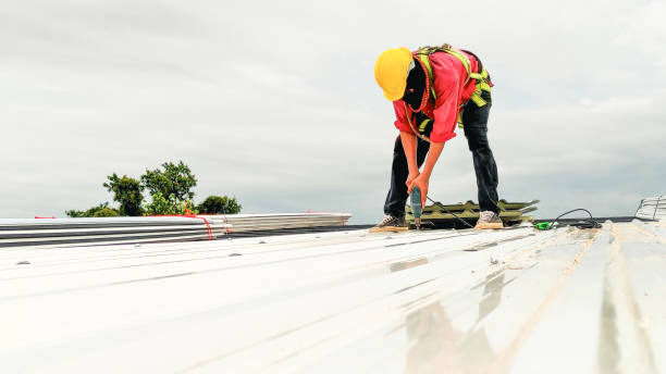 Best Asphalt Shingles Roofing  in Kensington, NY